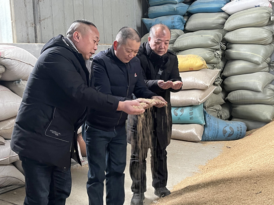 桃江種糧大戶與農(nóng)村農(nóng)業(yè)局技術(shù)人員正在查看春耕種子情況。受訪單位供圖