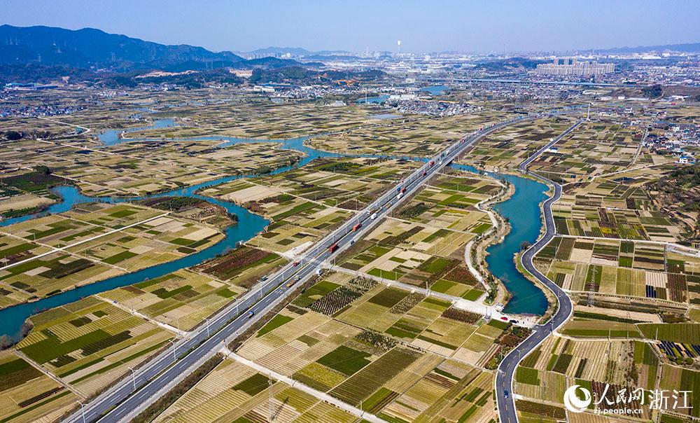 寧波市北侖區(qū)柴橋街道的萬畝花田猶如打翻的調(diào)色盤。人民網(wǎng) 章勇濤攝