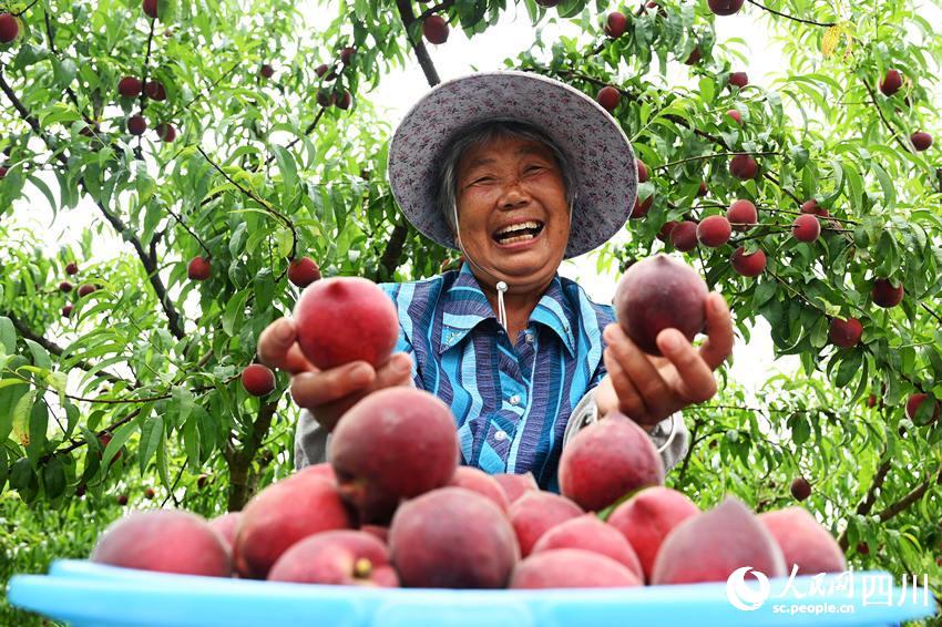 豐收的喜悅。蘭自濤攝