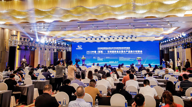 對接會現(xiàn)場。湖南省商務(wù)廳供圖