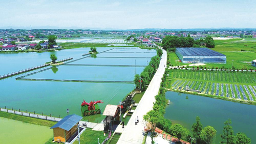 近年來，大成橋鎮(zhèn)堅持加強(qiáng)黨對鄉(xiāng)村治理的集中統(tǒng)一領(lǐng)導(dǎo)，該鎮(zhèn)鄉(xiāng)村治理模式入選第二批全國鄉(xiāng)村治理典型案例。圖為美麗的大成橋鎮(zhèn)。（資料圖片）