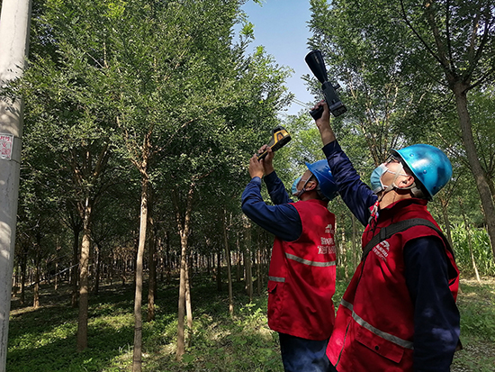 工作人員進(jìn)行紅外測溫及超聲波局部放電檢測。 王亮攝