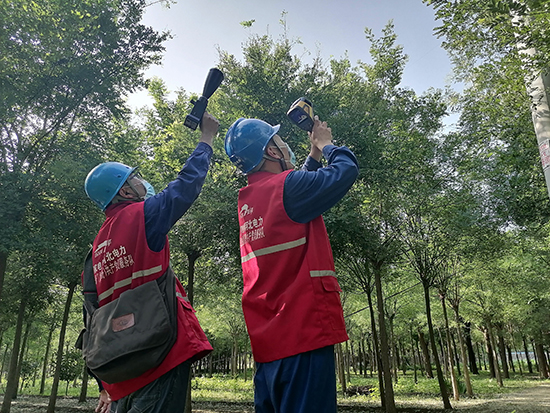 工作人員進(jìn)行紅外測溫及超聲波局部放電檢測。 王亮攝