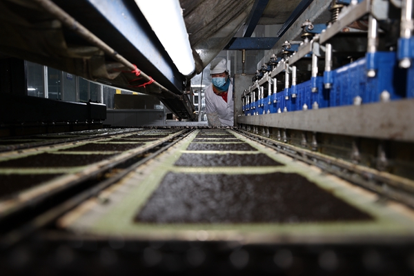 柘汪紫菜產(chǎn)業(yè)園內(nèi)入駐企業(yè)的紫菜生產(chǎn)線。贛榆區(qū)委宣傳部供圖