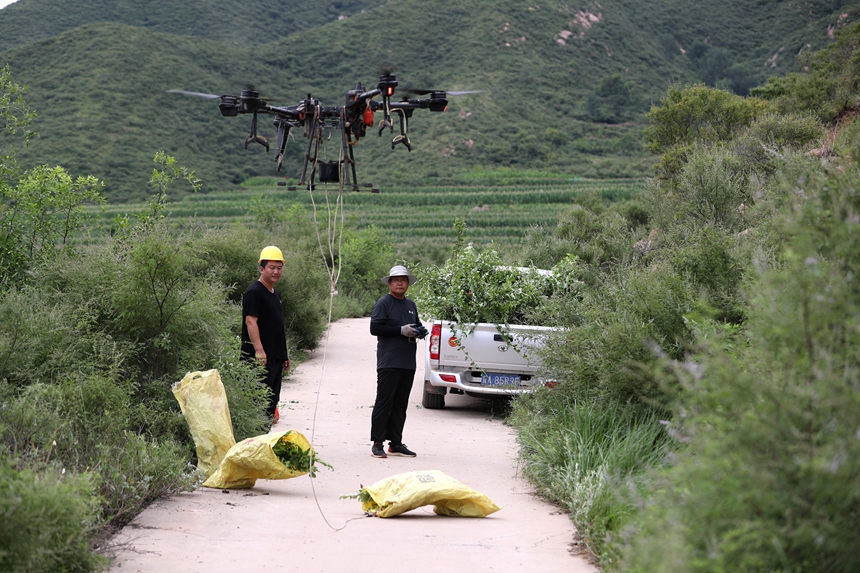 在石家莊市井陘縣吳家窯鄉(xiāng)長峪村荒山造林現(xiàn)場，一名無人機手操控?zé)o人機運輸樹苗。王保龍攝