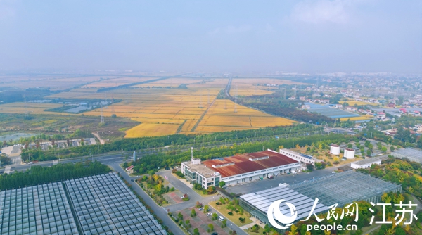 位于幸福街道的“萬(wàn)頃良田”。人民網(wǎng)記者 王繼亮攝