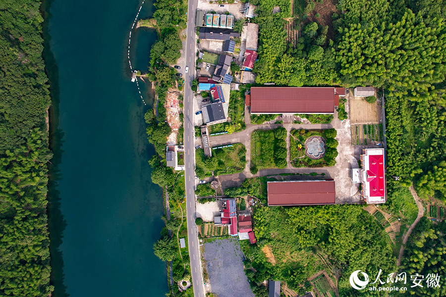 儲(chǔ)家灘民宿區(qū)。人民網(wǎng)記者 苗子健攝