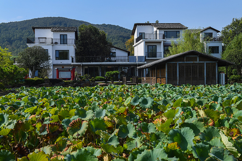 雨悅山房負(fù)責(zé)人原來在馬達(dá)加斯加打理酒店，之所以“從馬達(dá)加斯加到肥東”，源于對家鄉(xiāng)民宿前景看好。吳芳攝