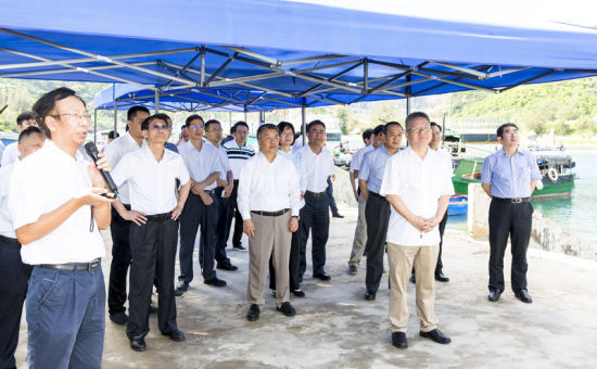 2019年6月21日上午，省長沈曉明率省政府班子成員在三亞鐵爐港調(diào)研項目規(guī)劃建設(shè)情況。海南日報記者 宋國強 攝