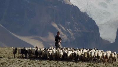 你看了嗎？藏語版《日光之城》“含金量”還在上升！