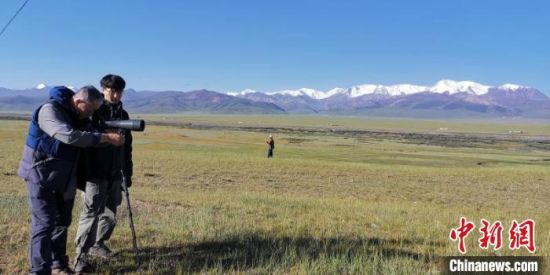 圖為工作人員正在進行黑頸鶴衛(wèi)星跟蹤和環(huán)志工作?！∑钸B山國家公園青海省管理局供圖 攝