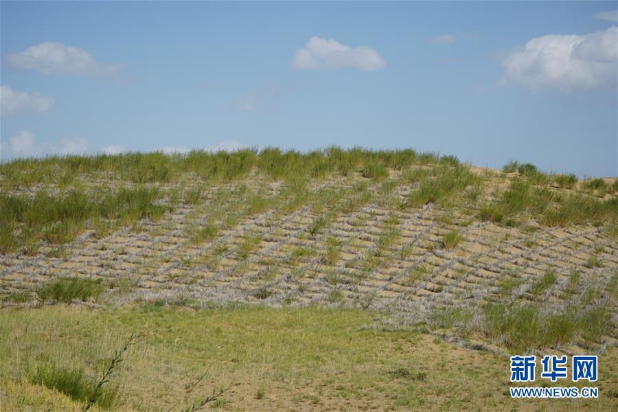 （決戰(zhàn)決勝脫貧攻堅(jiān)·圖文互動(dòng)）（3）高原鄉(xiāng)鎮(zhèn)沙珠玉 治沙斗貧成“綠?！薄嗪Ｊ」埠涂h沙珠玉鄉(xiāng)采訪見(jiàn)聞