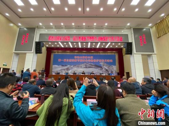 圖為祁連山國(guó)家公園第一屆自然觀察節(jié)開(kāi)幕式現(xiàn)場(chǎng)?！±罱瓕帯z 　　