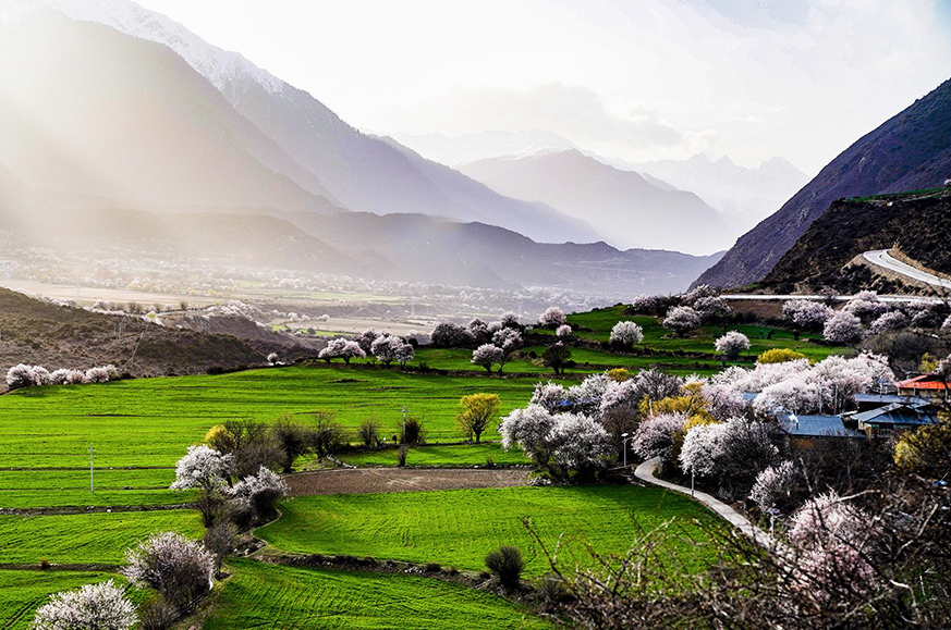 西藏林芝市波密縣傾多鎮(zhèn)八朵卡的田園風(fēng)光（攝于4月5日）。新華網(wǎng) 達(dá)娃攝.jpg