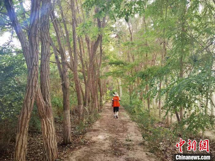 戈壁灘上的護(hù)林員：以前風(fēng)吹睜不開眼，現(xiàn)在滿眼皆綠色