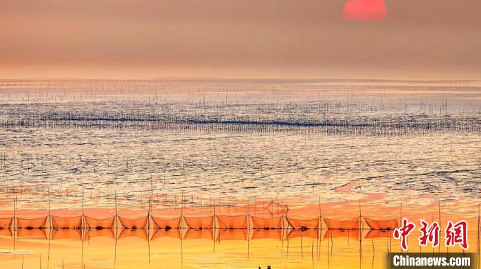 江蘇鹽城被譽(yù)為金灘銀蕩、魚(yú)米之鄉(xiāng)?！←}城市委宣傳部供圖