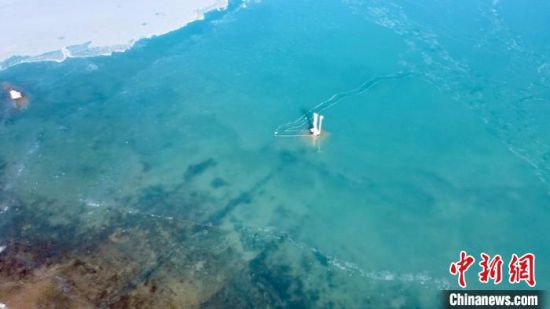 圖為冬日青海湖?！±罱瓕帯z