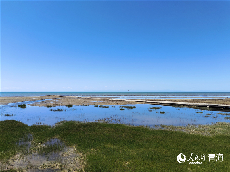青海湖仙女灣。人民網(wǎng) 張莉萍攝