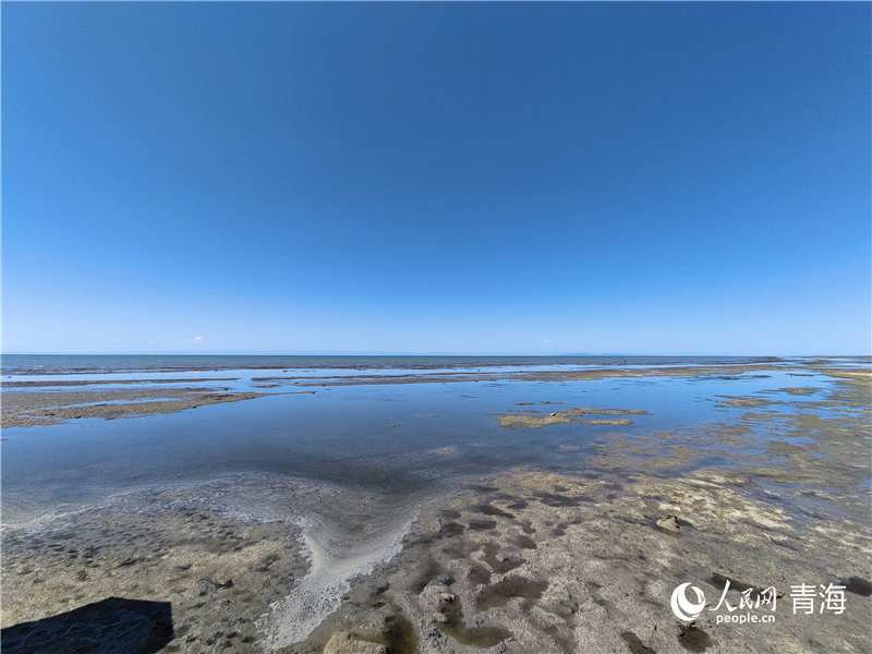   青海湖仙女灣。人民網(wǎng) 張莉萍攝