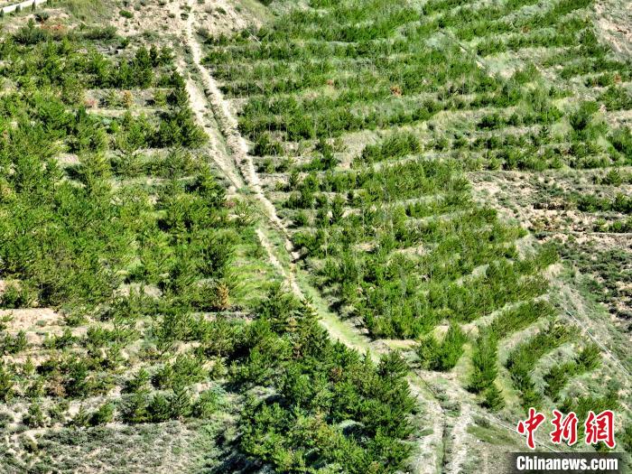 航拍建行青海省分行綠化區(qū)?！∑钤鲚?攝