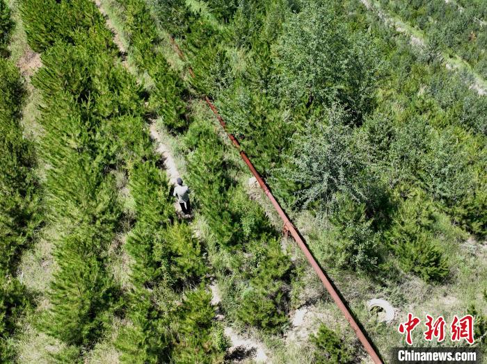 航拍建行青海省分行綠化區(qū)施工隊(duì)隊(duì)長盧占祥正在巡護(hù)綠化區(qū)?！∑钤鲚?攝