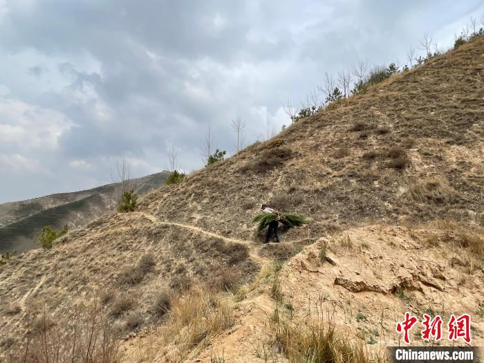 資料圖為建行青海省分行綠化區(qū)施工隊(duì)隊(duì)員人工運(yùn)樹苗?！〗ㄐ星嗪Ｊ》中泄﹫D