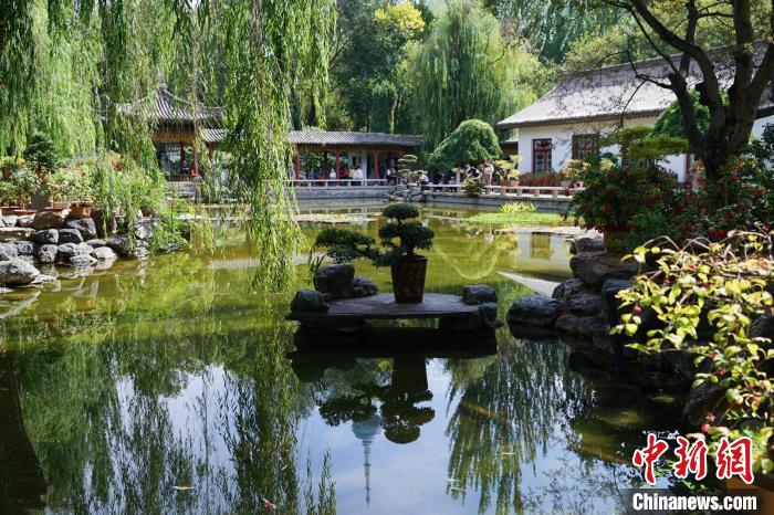 圖為西寧園林植物園秋日風(fēng)景別有韻味?！●R銘言 攝