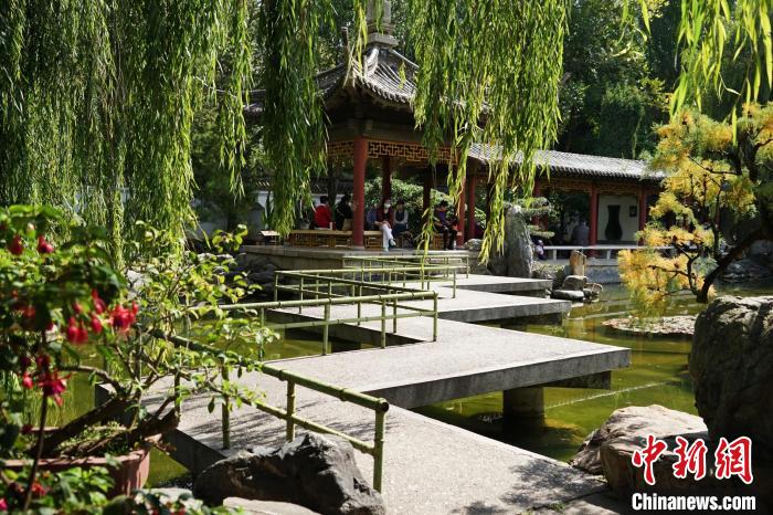 圖為西寧園林植物園秋日風(fēng)景別有韻味。　馬銘言 攝