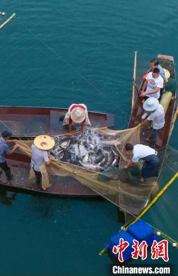 捕魚現(xiàn)場(chǎng)?！≈鬓k方供圖