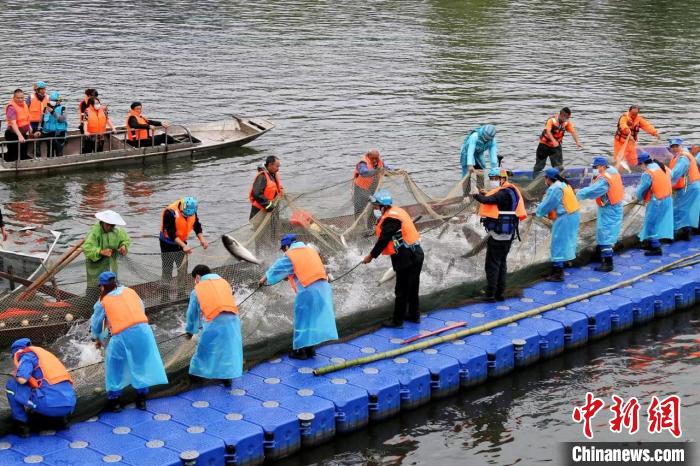 捕撈現(xiàn)場(chǎng)?！≈鬓k方供圖