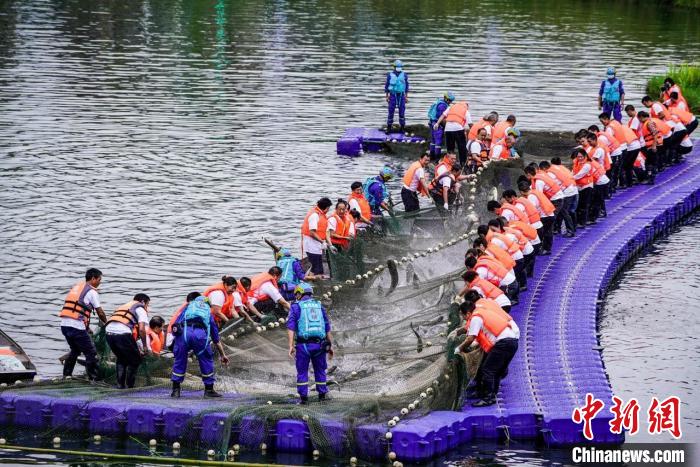 捕撈現(xiàn)場(chǎng)。　主辦方供圖