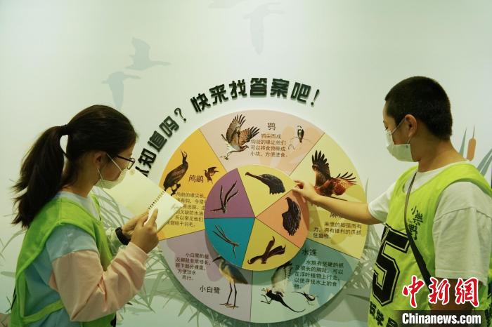 圖為小朋友在青海西寧湟水國家濕地公園科普館內參觀學習?！●R銘言 攝