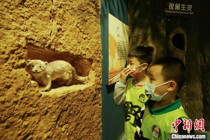 圖為小朋友在青海西寧湟水國家濕地公園科普館內參觀學習。　馬銘言 攝