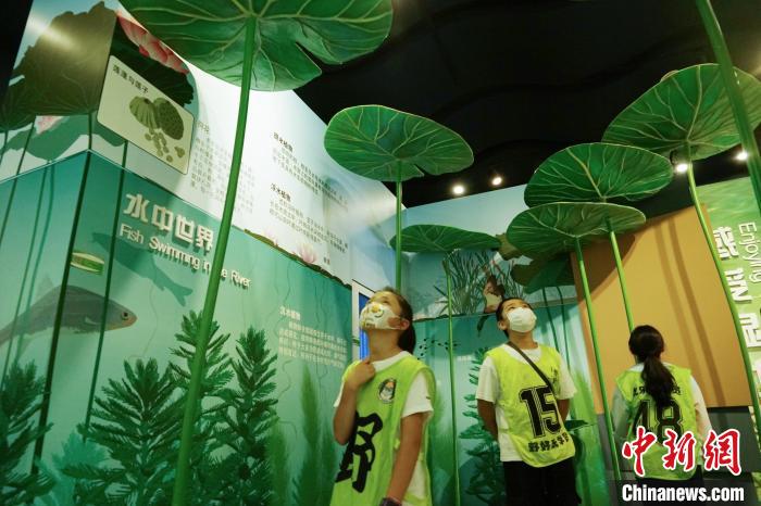 圖為小朋友在青海西寧湟水國家濕地公園科普館內參觀學習?！●R銘言 攝