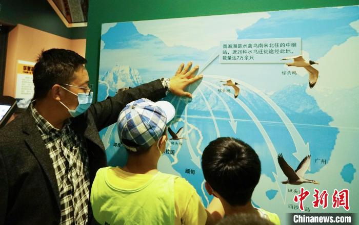 圖為小朋友在青海西寧湟水國家濕地公園科普館內參觀學習?！●R銘言 攝