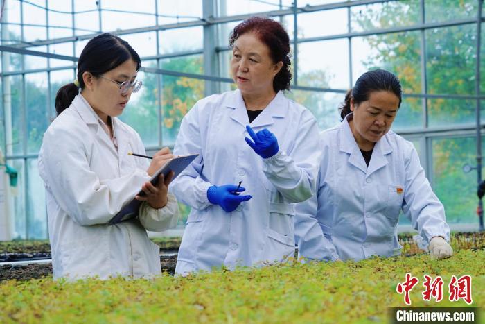 圖為張錦梅(中)與同事在討論數(shù)據(jù)。馬銘言 攝