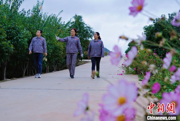 圖為張錦梅(中)與同事在西寧北山查看丁香樹?！●R銘言 攝