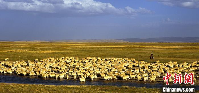 青?，敹唷鞍渍渲椤弊尠傩斟X袋鼓起來