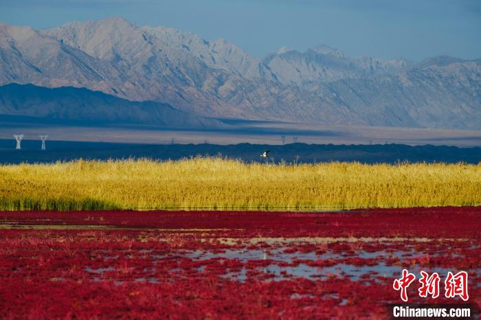 圖為柴達(dá)木盆地可魯克湖?！」?攝