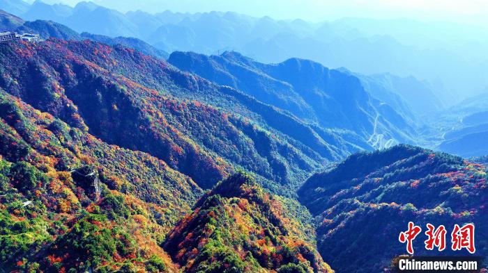 巴山大峽谷彩林迎來最佳觀賞期?！埰?攝