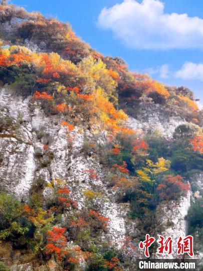 彩林色彩斑斕?！≈炱桨?攝