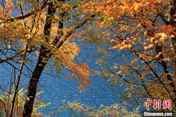 松坪溝風(fēng)光?！⑼?攝