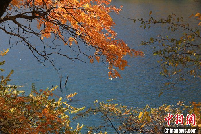 松坪溝風(fēng)光?！⑼?攝