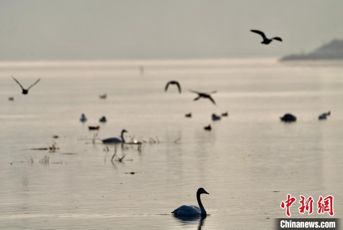 青海自然資源領域:構建具有青藏高原特色生態(tài)產(chǎn)品價值實現(xiàn)路徑