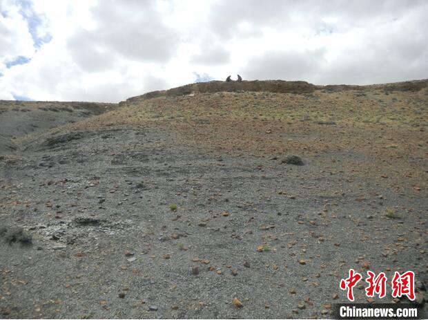 圖為本次研究的藏南曲布剖面二疊紀(jì)末期黑色頁(yè)巖?！∧瞎潘?供圖