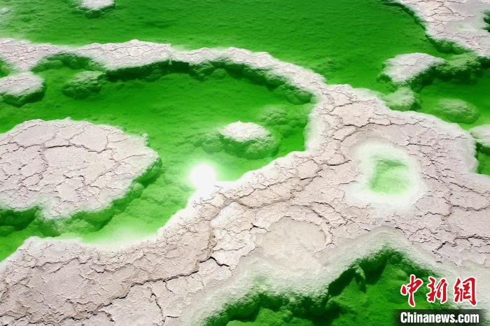 青?！拔鞔箝T”茫崖多舉措蓄能鹽湖產(chǎn)業(yè)發(fā)展