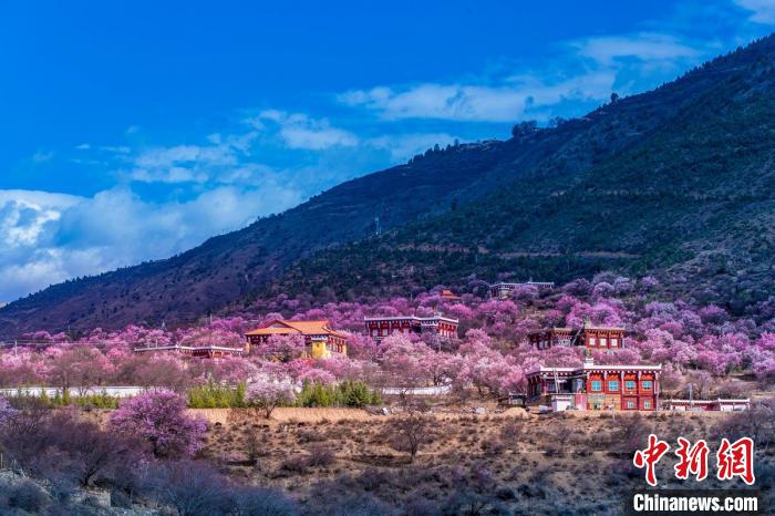 美麗的鄉(xiāng)村畫卷?！『涡秀?攝