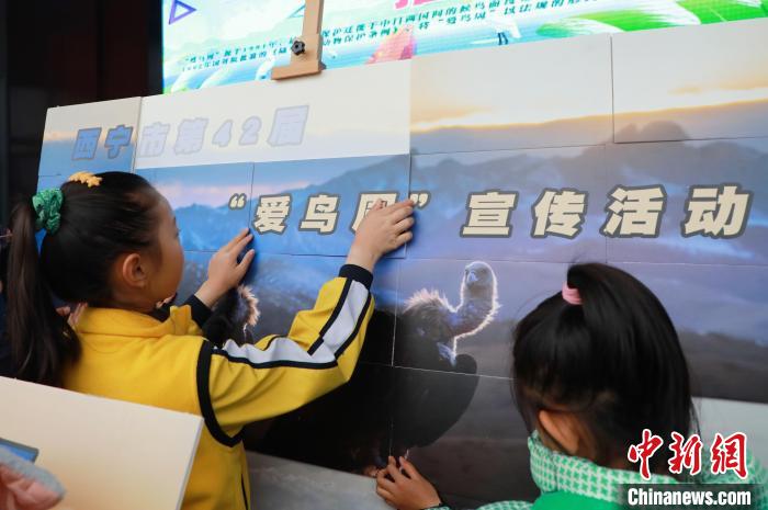 圖為學(xué)生通過(guò)拼圖游戲了解鳥(niǎo)類知識(shí)?！●R銘言 攝