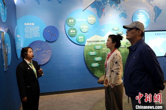 圖為臺(tái)商在祁連山國(guó)家公園生態(tài)科普館內(nèi)聆聽(tīng)講解?！⊙Φ?攝