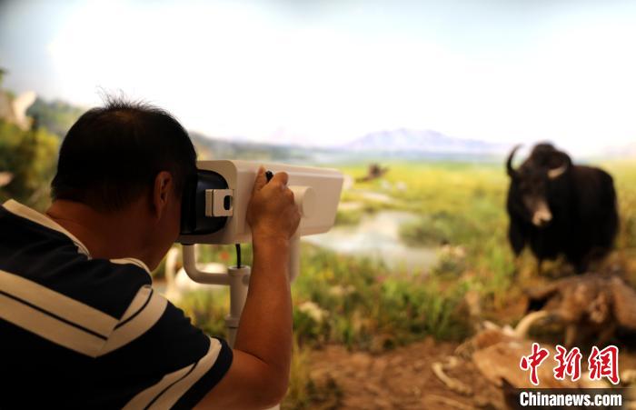 圖為臺(tái)商觀看祁連山國(guó)家公園生態(tài)科普館內(nèi)生態(tài)場(chǎng)景。　薛蒂 攝
